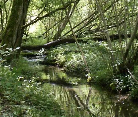 Maison Belinaire - Au Coeur De La Nature Gasthof 3*