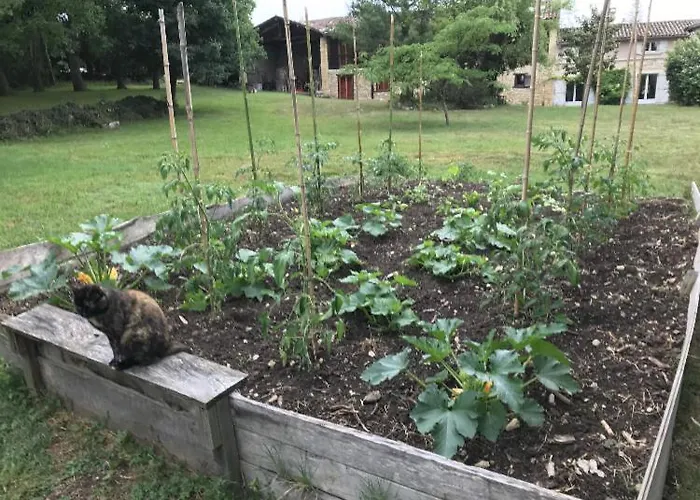 Affittacamere Belinaire - Au Coeur De La Nature Cazeneuve-Montaut