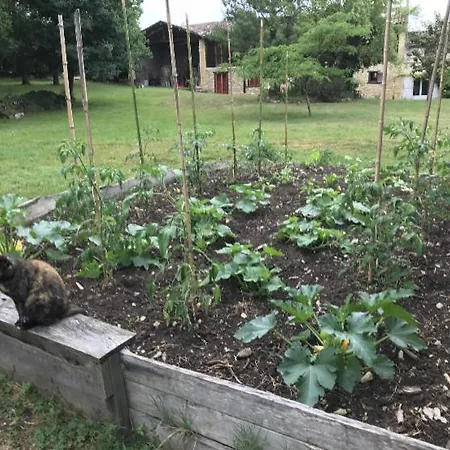 Affittacamere Belinaire - Au Coeur De La Nature Cazeneuve-Montaut