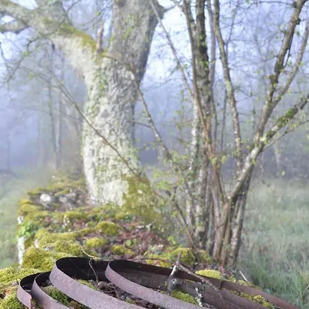 Maison Belinaire - Au Coeur De La Nature