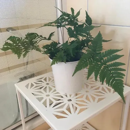 Belinaire - Au Coeur De La Nature 3* Cazeneuve-Montaut