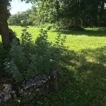 Belinaire - Au Coeur De La Nature * Cazeneuve-Montaut
