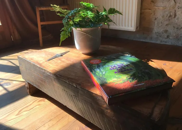 ゲストハウス Belinaire - Au Coeur De La Nature Cazeneuve-Montaut