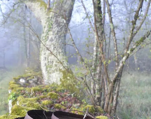 Belinaire - Au Coeur De La Nature