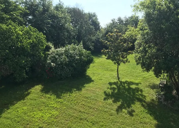 Belinaire - Au Coeur De La Nature Cazeneuve-Montaut