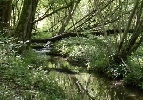 Belinaire - Au Coeur De La Nature 3* Cazeneuve-Montaut